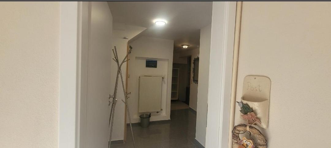 Ferien-Apartment Meter Neumagen-Dhron Ngoại thất bức ảnh