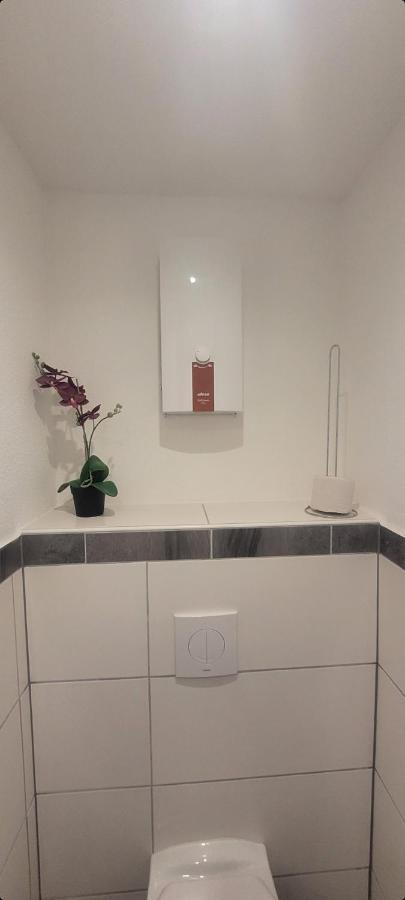 Ferien-Apartment Meter Neumagen-Dhron Ngoại thất bức ảnh