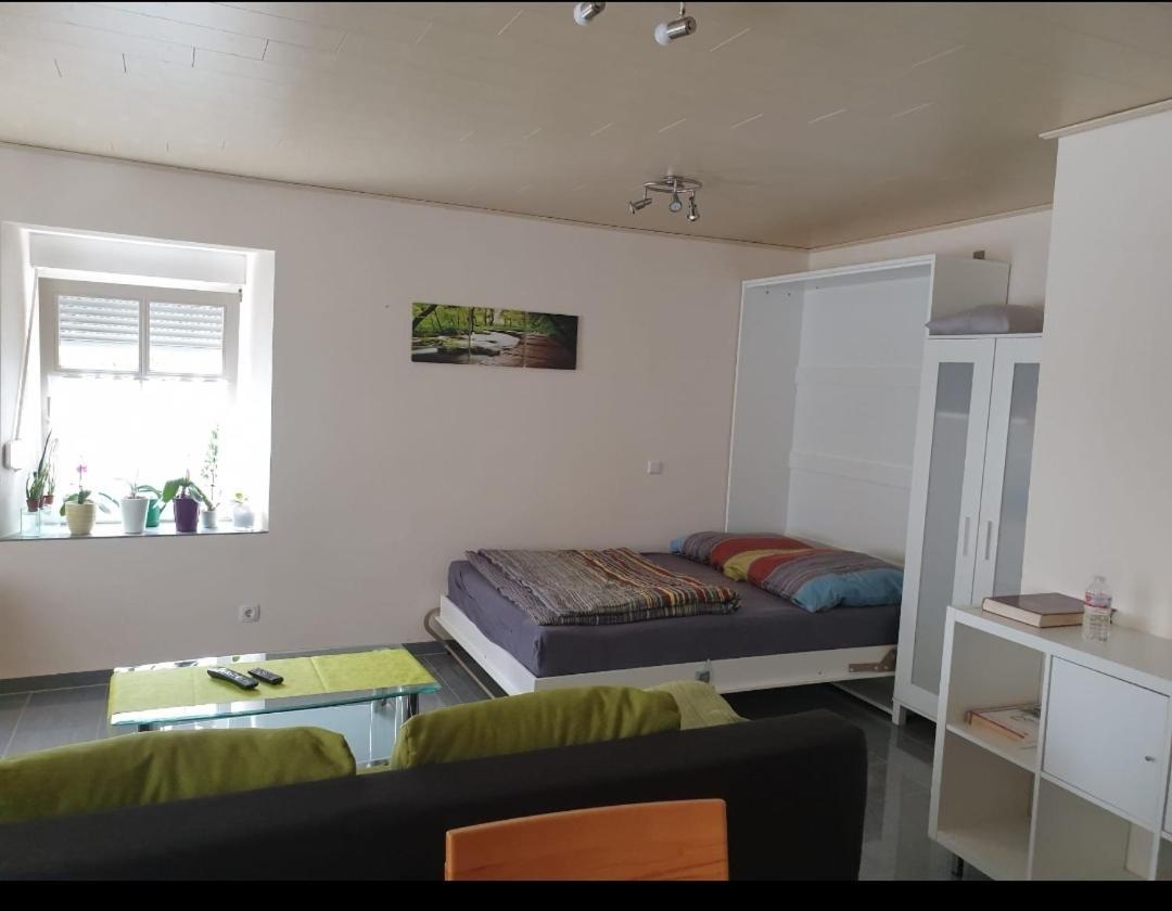 Ferien-Apartment Meter Neumagen-Dhron Ngoại thất bức ảnh